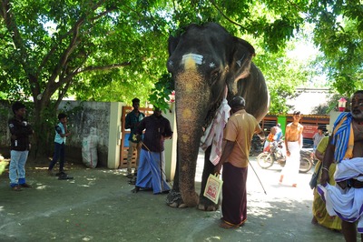 kumbhabhishekam