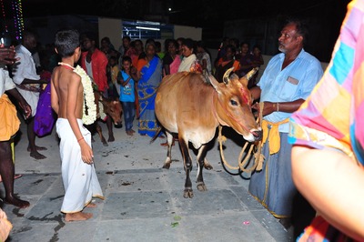kumbhabhishekam