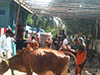 kumbhabhishekam
