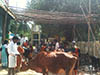 kumbhabhishekam