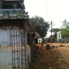 Temple Renovation 3